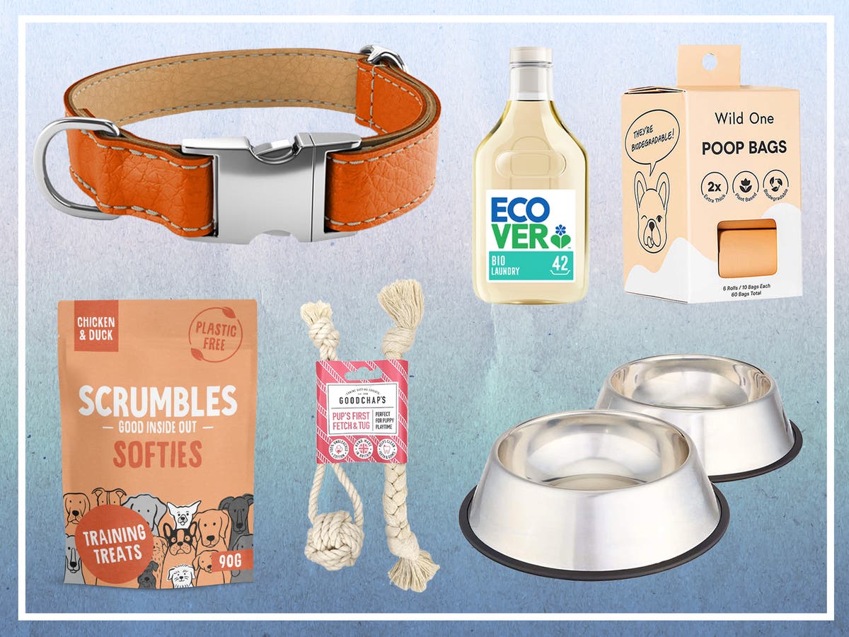 What do I need for a puppy? Essentials checklist The Independent